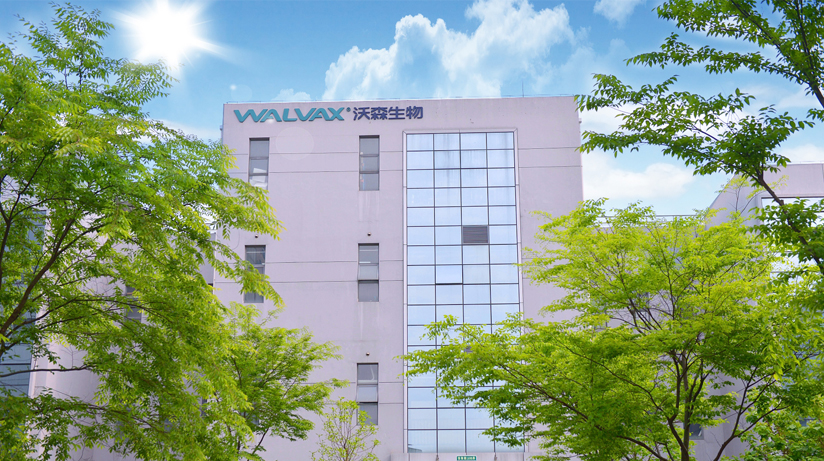 �������ǲ�(�й�)����-�ٷ���վ